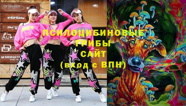 тгк Балахна