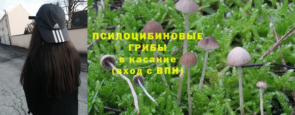 ALPHA PVP Балабаново