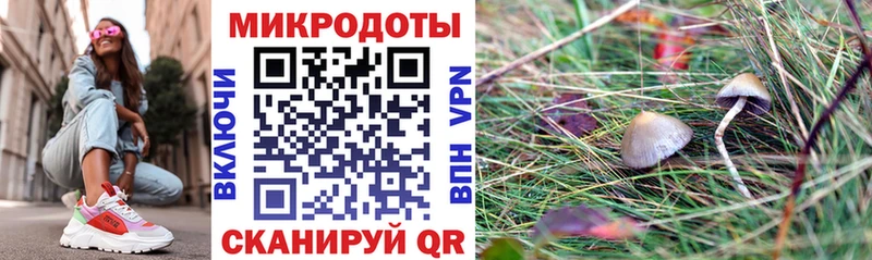 Псилоцибиновые грибы ЛСД  мега онион  Чулым 